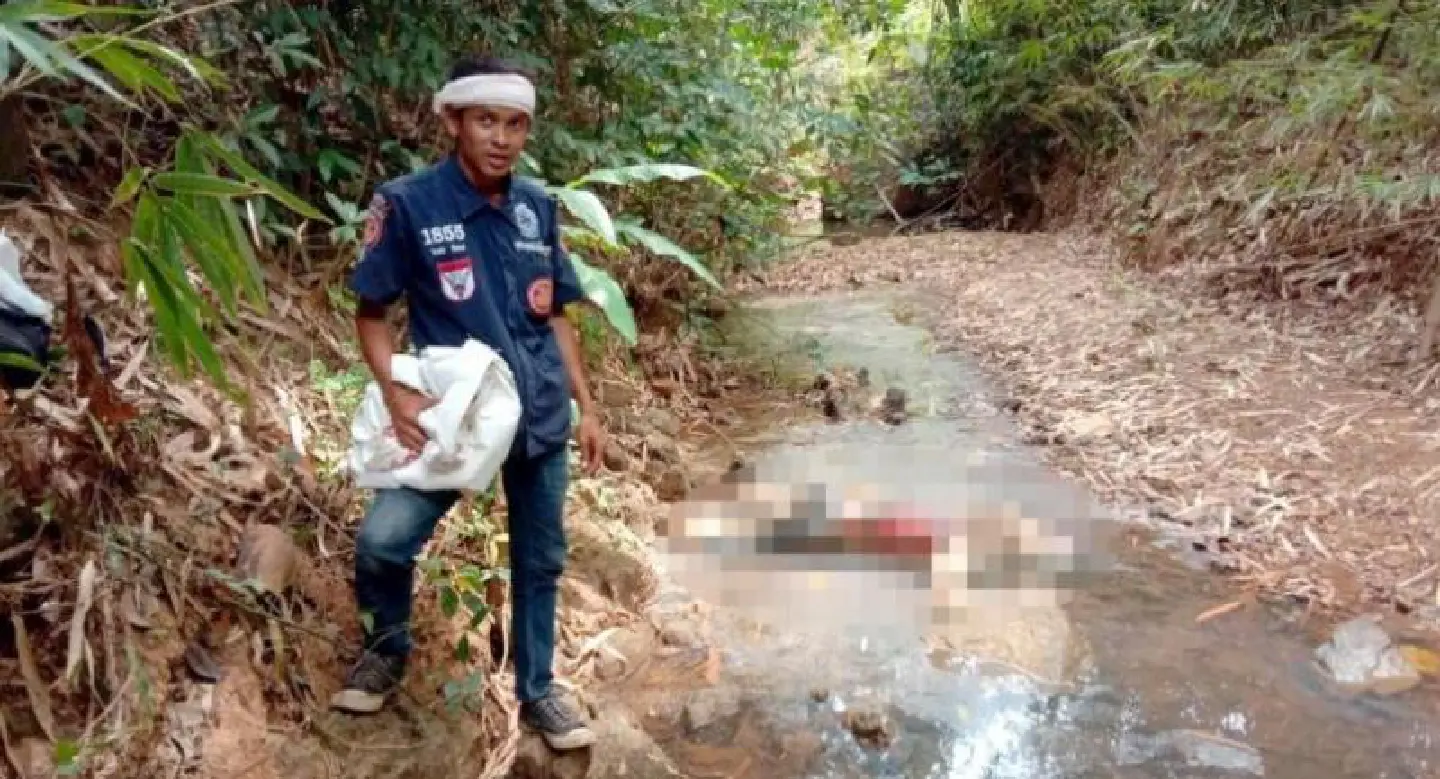 Body of missing bee’s-nest collector found in Nakhon Si Thammarat forest Body of missing bee’s-nest collector found in Nakhon Si Thammarat forest