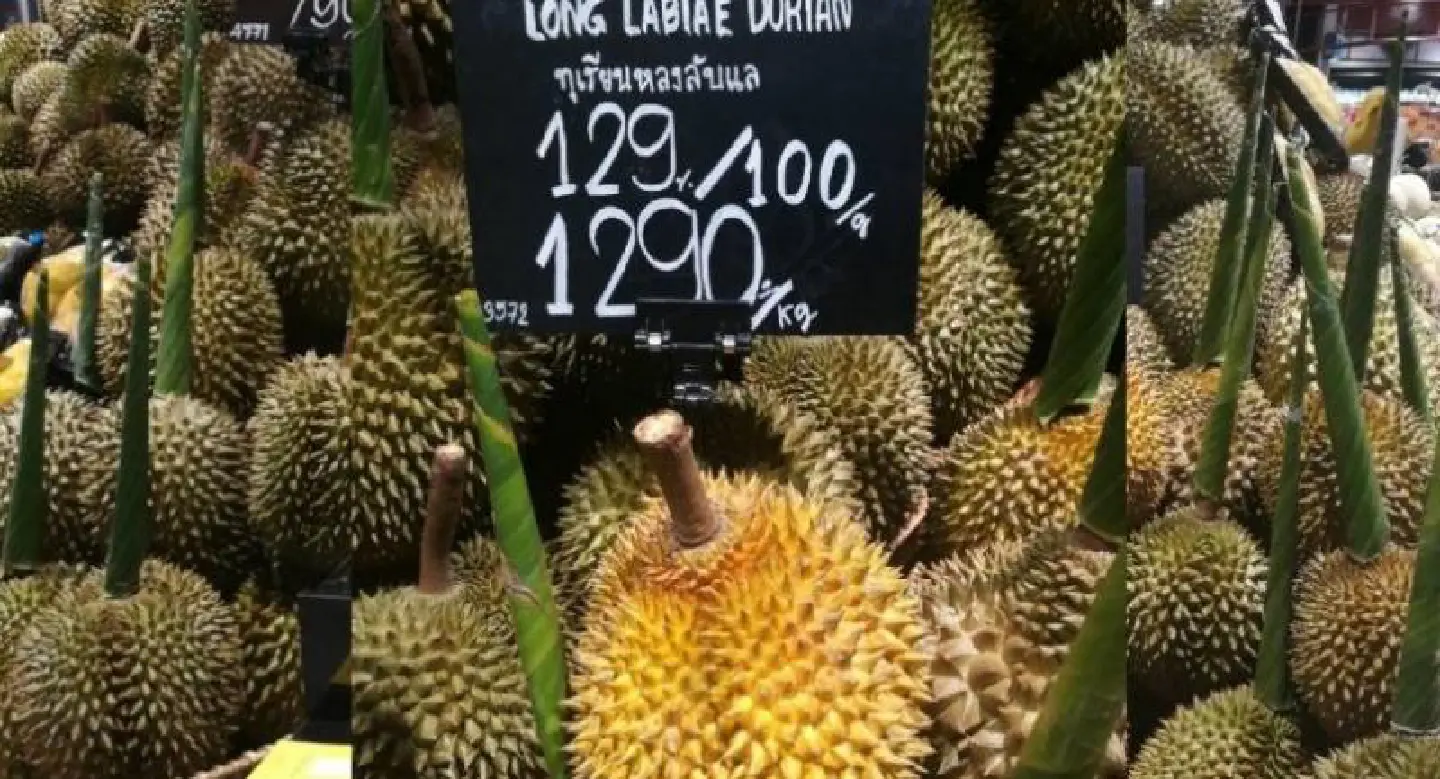 Durian farmers face devastation as trees die from extreme drought in Uttaradit