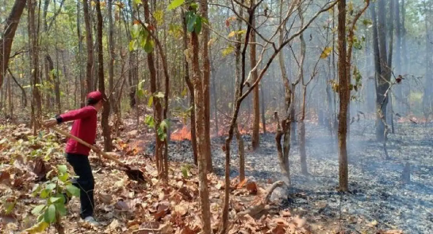 This year’s haze crisis ‘should serve as a lesson’