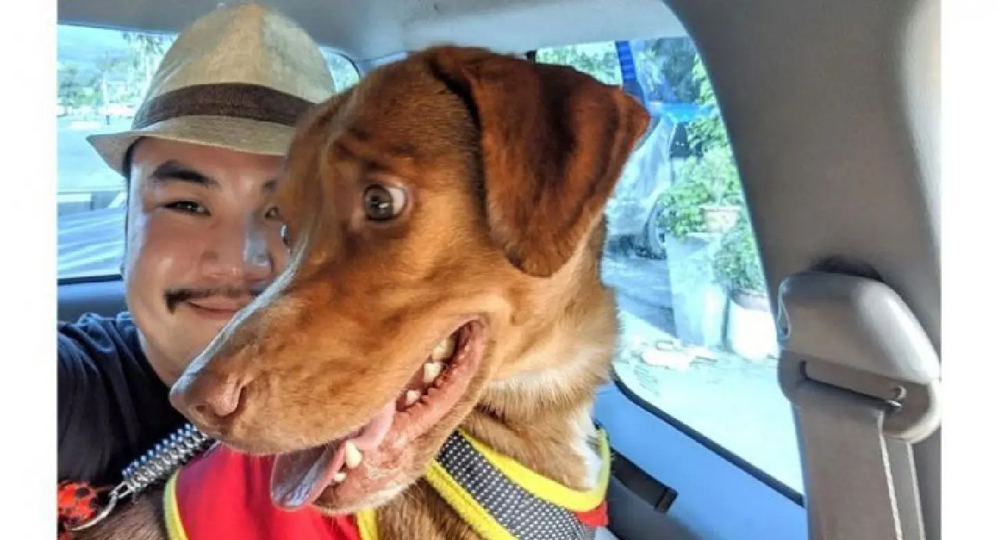 ‘Boonrod’ heads to new home in Khon Kaen