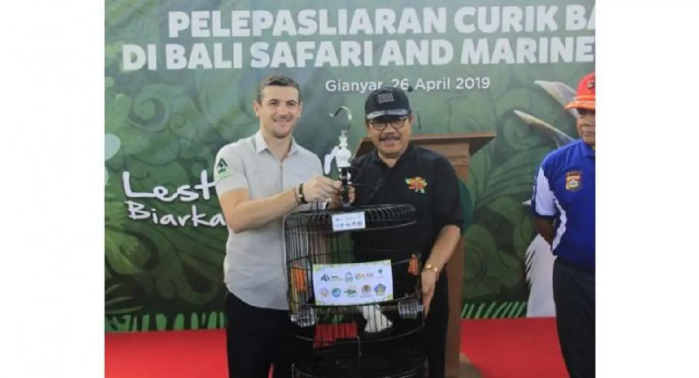 Rare Indonesia starling to be bred in Bali Safari Park Rare Indonesia starling to be bred in Bali Safari Park