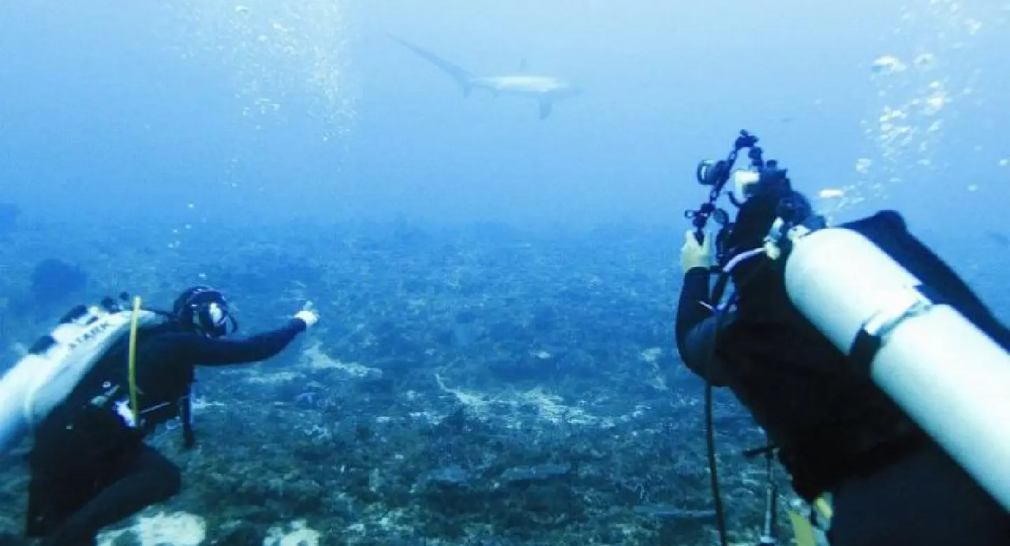 Treasures of the deep