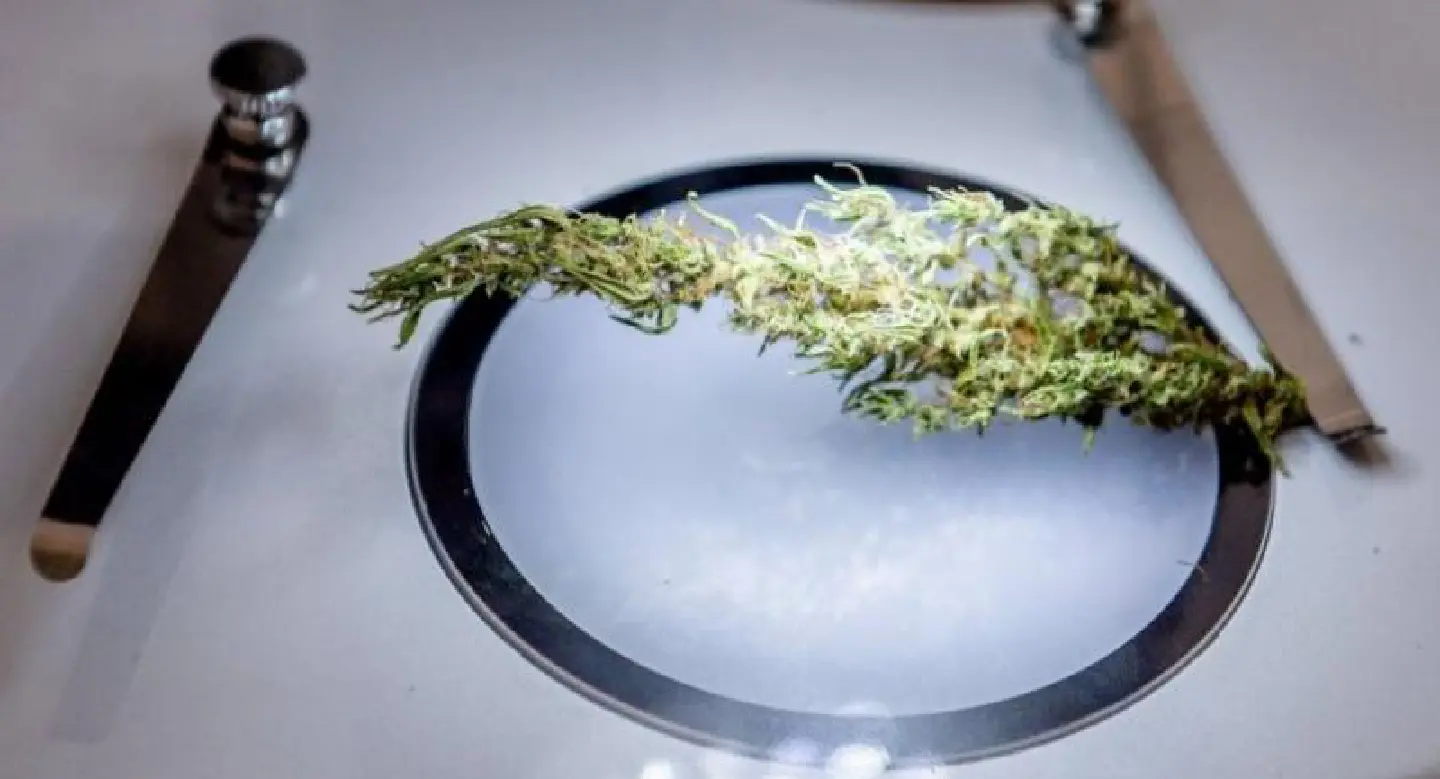 Amnesty for marijuana close to end Amnesty for marijuana close to end