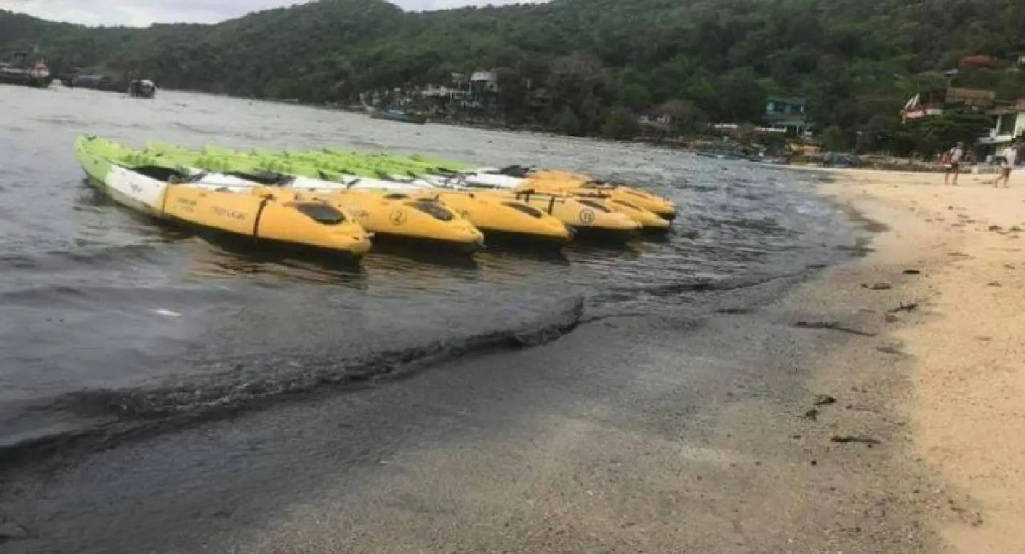 Hotel, restaurant blamed for black water on the shore of Koh Phi Phi Hotel, restaurant blamed for black water on the shore of Koh Phi Phi