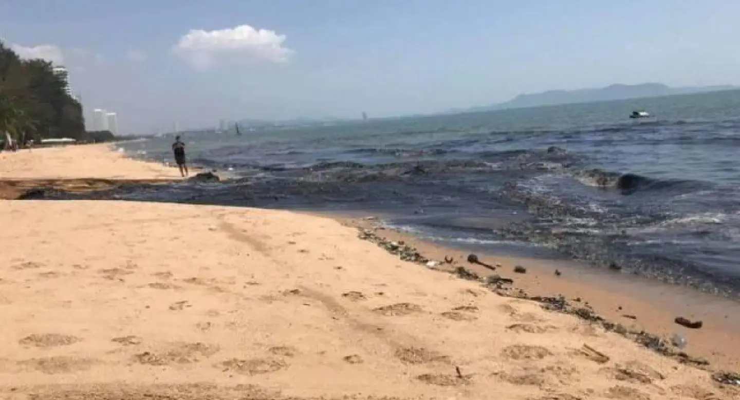 Pattaya offers helping hand as wastewater from Na Jom Thian pollutes sea Pattaya offers helping hand as wastewater from Na Jom Thian pollutes sea