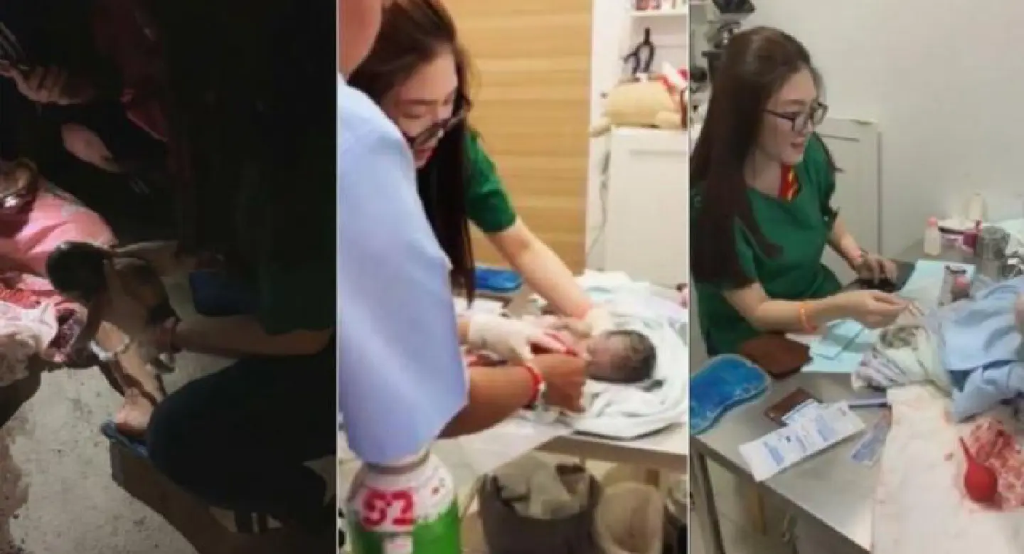 Vet praised for saving newborn’s life