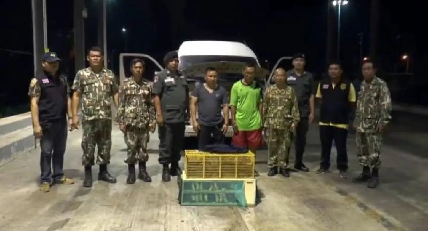 Vietnamese, Thai arrested with exotic Lao birds bound for Chatuchak Market Vietnamese, Thai arrested with exotic Lao birds bound for Chatuchak Market