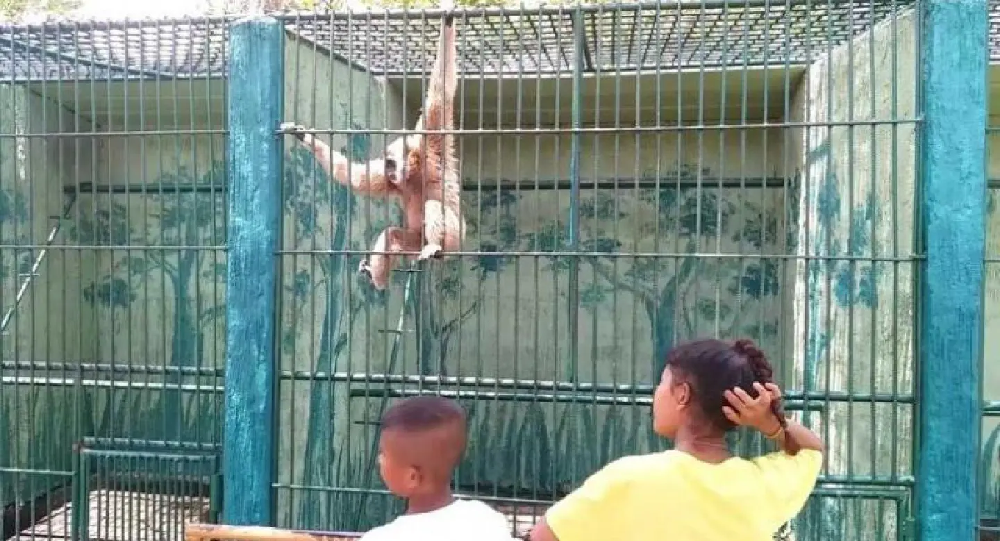 Nakhon Si Thammarat zoo set to close after 40 years of public service Nakhon Si Thammarat zoo set to close after 40 years of public service