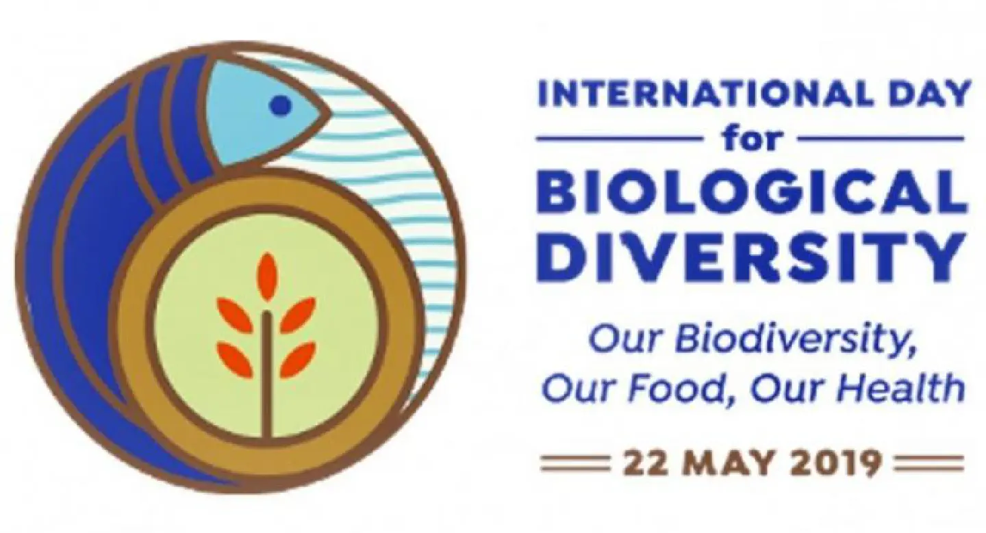 Biodiversity key to every life on the planet