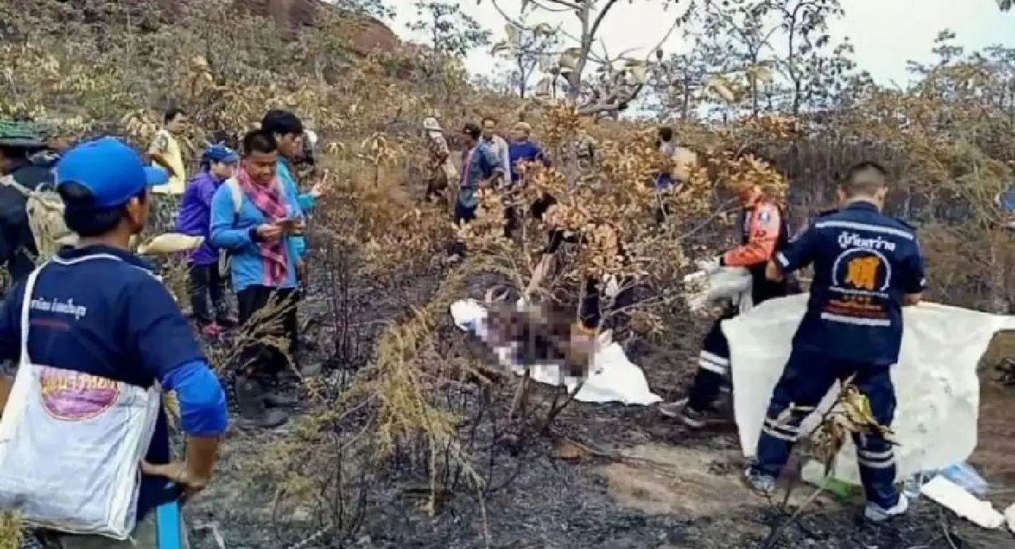 Bee hunter, 70, thought killed by bees on Bueng Kan mountaintop
