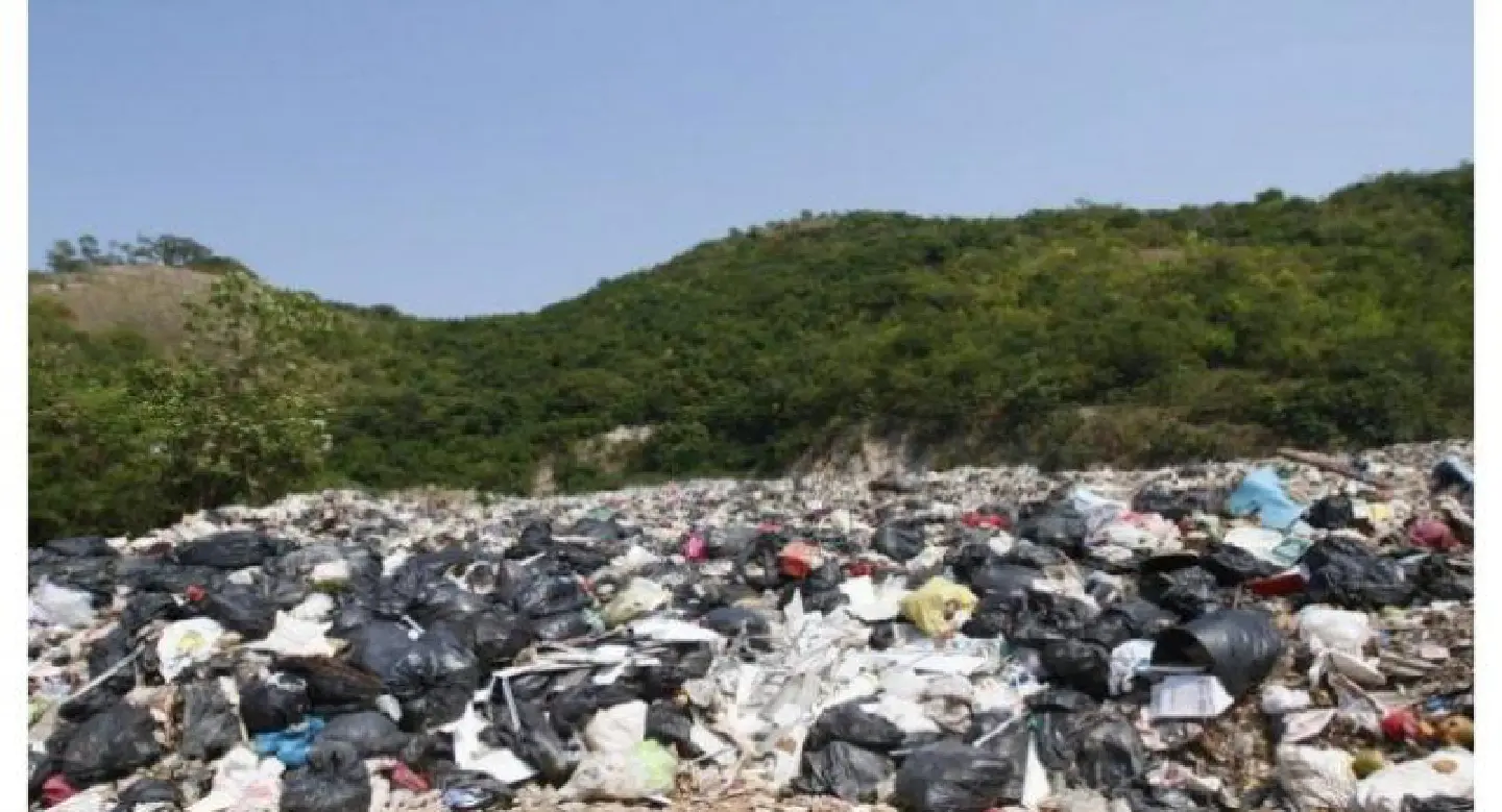 Call for tourist limit on Koh Lan to solve garbage issue Call for tourist limit on Koh Lan to solve garbage issue