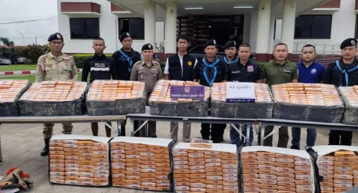 608kg of marijuana seized in Bueng Kan 608kg of marijuana seized in Bueng Kan