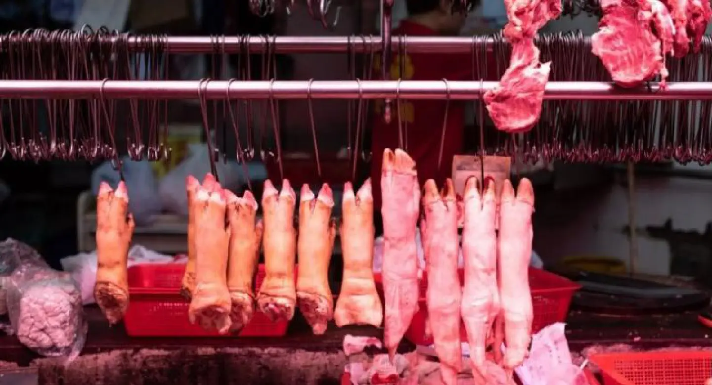 Hong Kong to cull 4,700 pigs after second swine fever case found