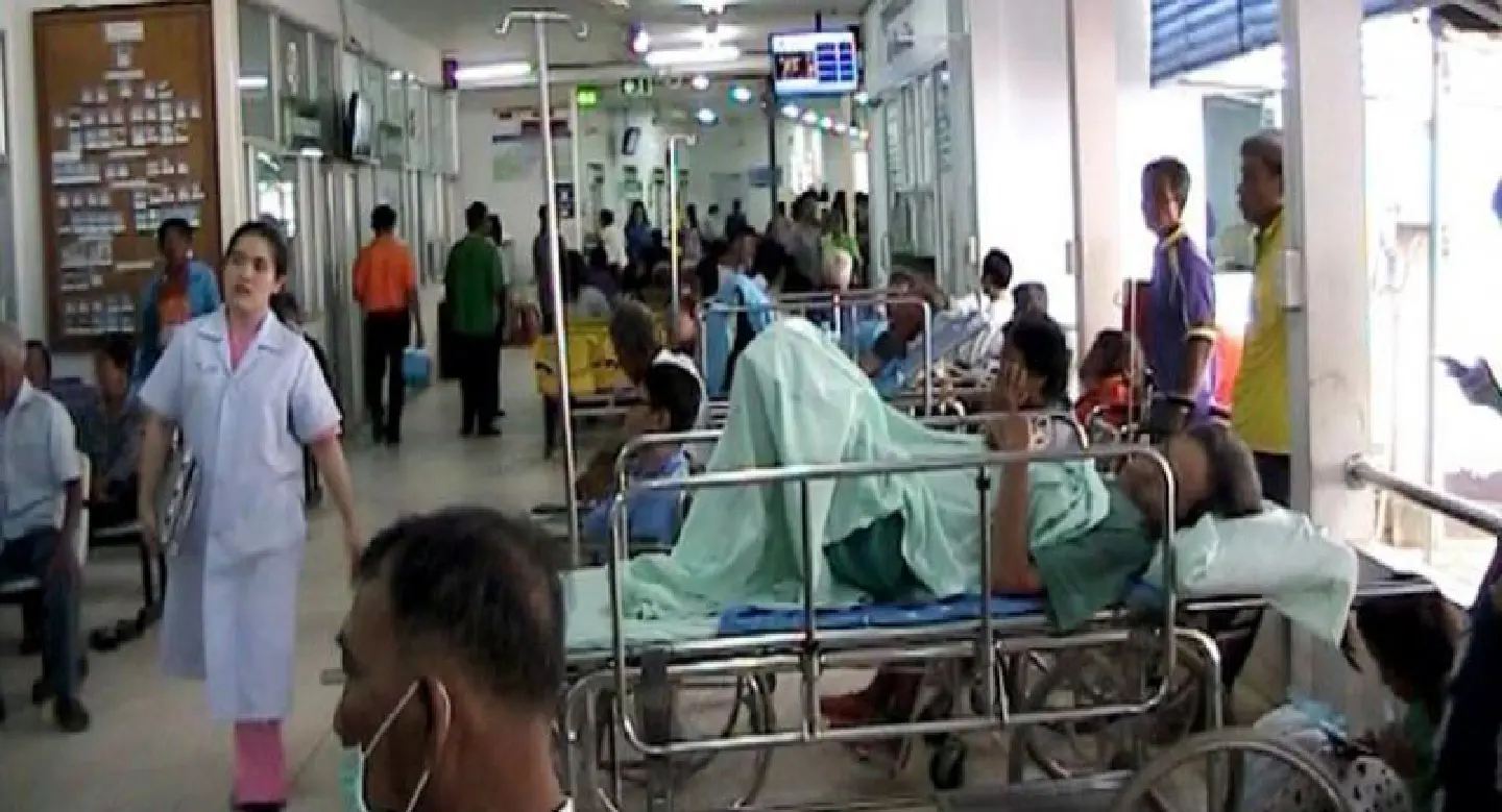 Dengue cases already double total of last year Dengue cases already double total of last year