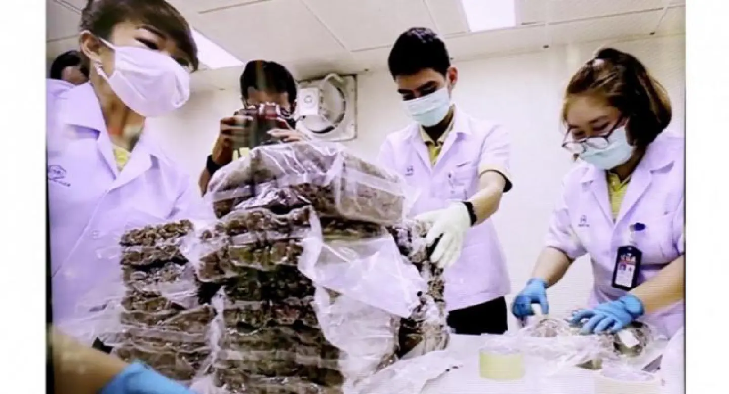 Just 7kg of seized marijuana suitable for medicine: drugs bosses Just 7kg of seized marijuana suitable for medicine: drugs bosses