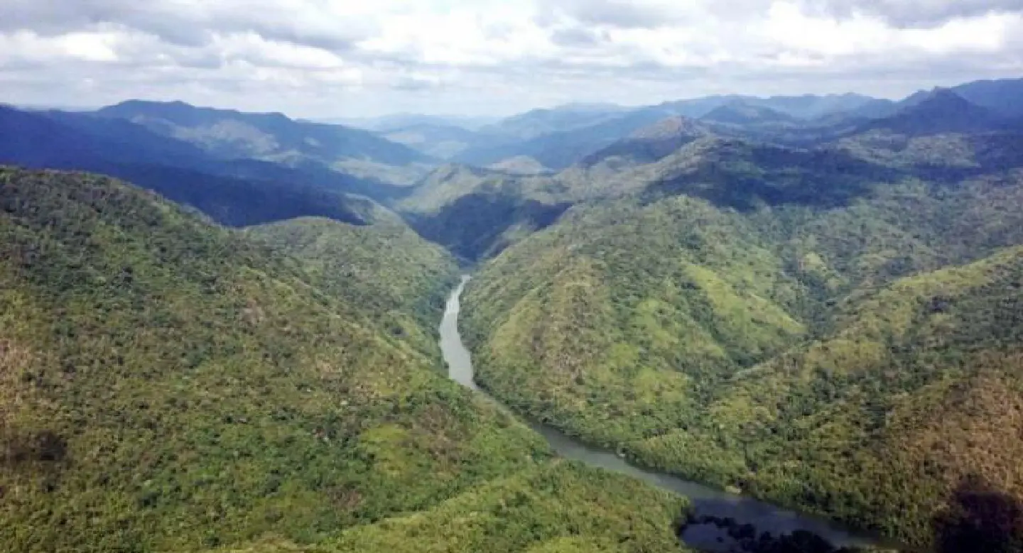 Environmental campaigners urge new govt to focus on sustainable development Environmental campaigners urge new govt to focus on sustainable development