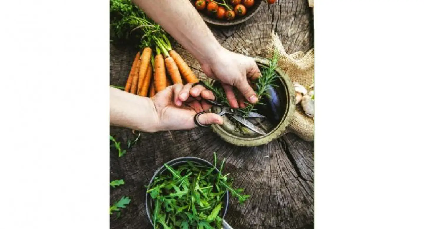 Food with a trending factor Food with a trending factor