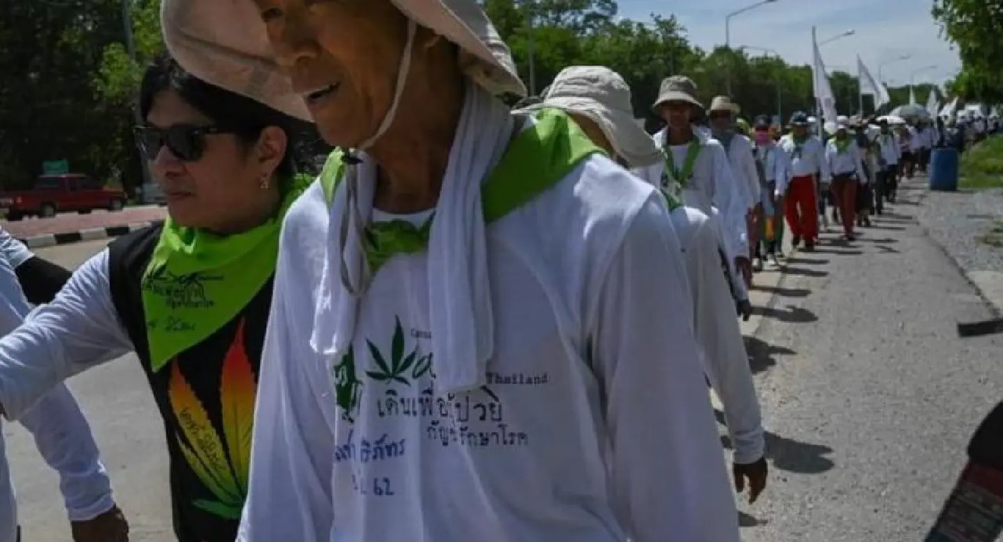 REPORT: Progress made on medical cannabis, but challenges are ahead: Cannabis Walk