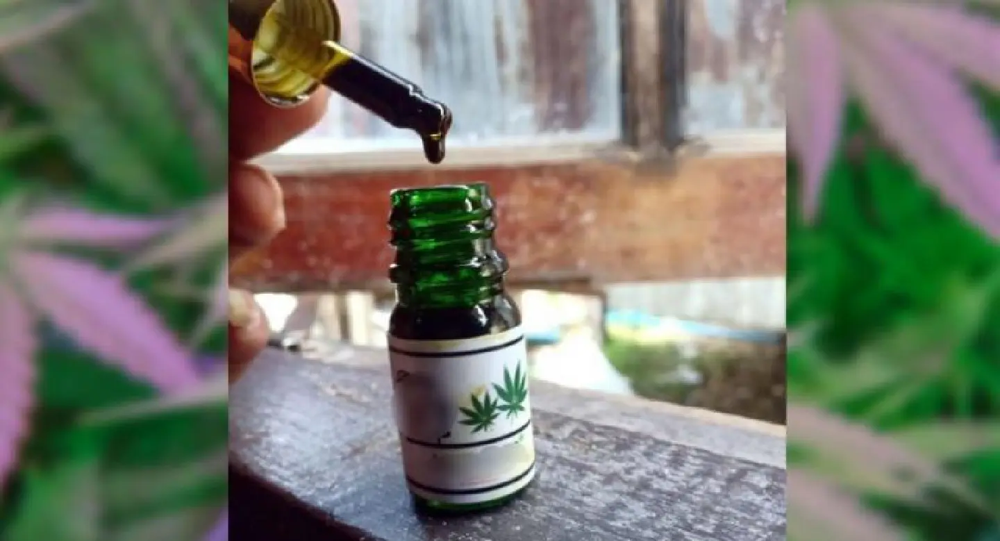 Many hurdles before cannabis oil makes it to national list
