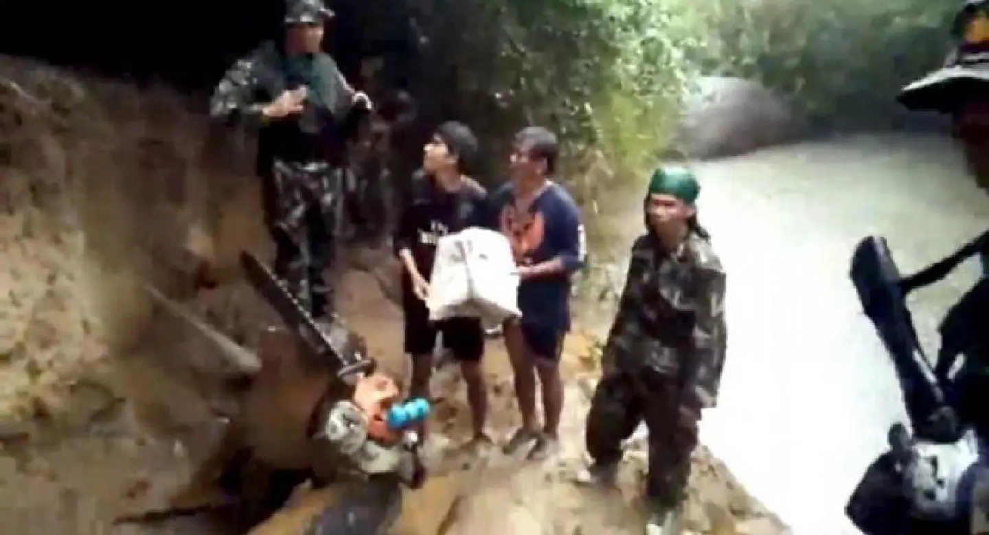 Two Cambodians arrested for felling protected tree in Ubon Ratchathani park