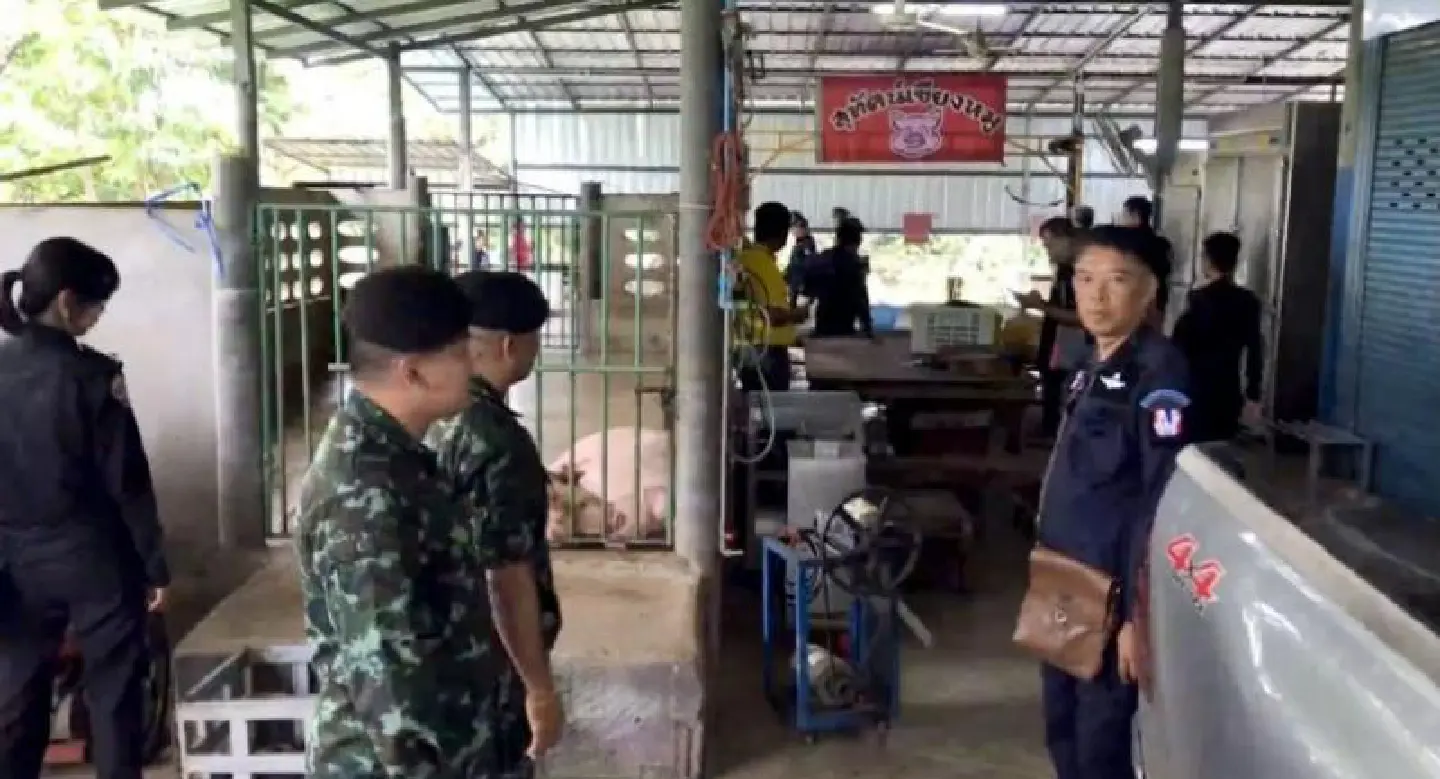 Two nabbed for operating illegal abattoirs in Nong Khai