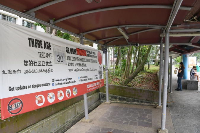 Call for public to do more in dengue fight as infections rise Call for public to do more in dengue fight as infections rise