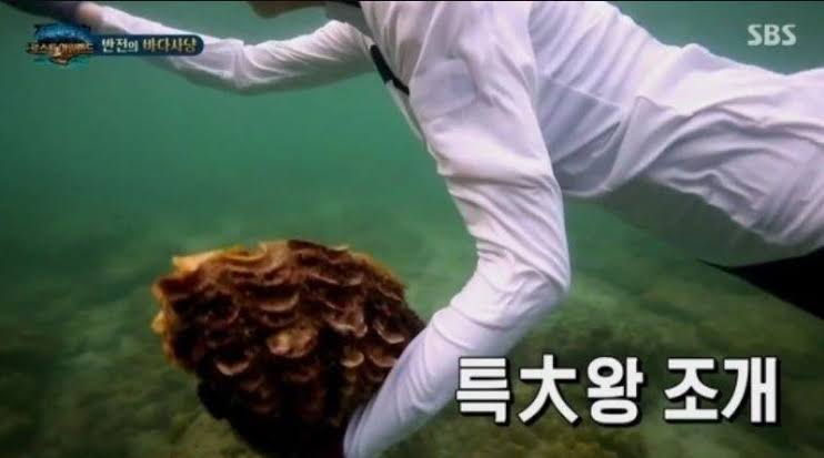 Wayward foreigners in the case of the cooked clams Wayward foreigners in the case of the cooked clams