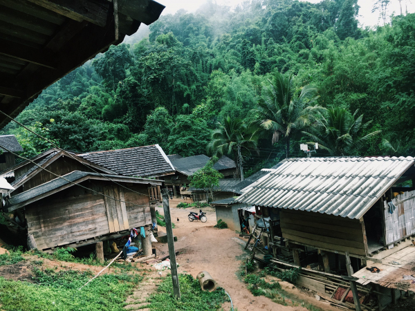 New government urged to revoke forest reclamation policy, work with local forest communities New government urged to revoke forest reclamation policy, work with local forest communities
