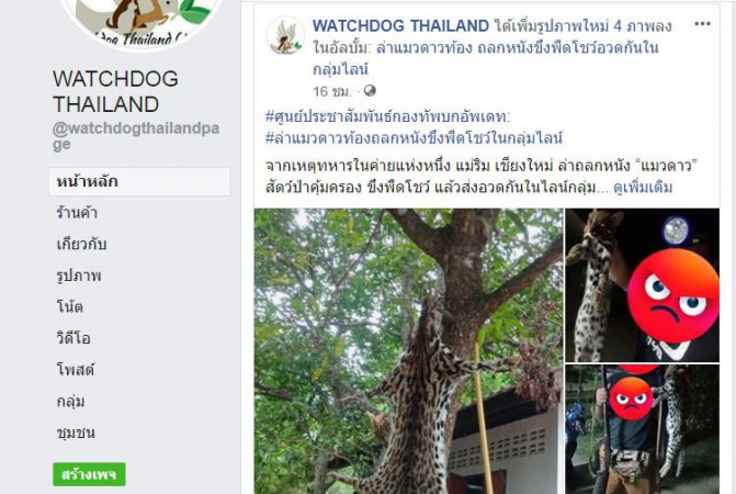 Soldier being hunted after Facebook posts of alleged leopard poaching and skinning Soldier being hunted after Facebook posts of alleged leopard poaching and skinning