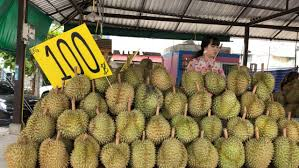 Startup modernises Asian supply chain for Thai durian exporter Startup modernises Asian supply chain for Thai durian exporter