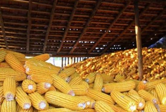 Price controls announced on basic goods, commodities Price controls announced on basic goods, commodities
