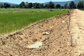 Govt agencies meet today to discuss drought measures Govt agencies meet today to discuss drought measures