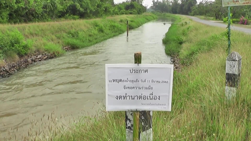 Phichit farmers make desperate plea for irrigation water Phichit farmers make desperate plea for irrigation water