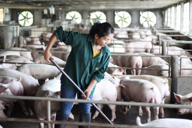 CP Foods revises contract farming model to boost farmers' competitiveness CP Foods revises contract farming model to boost farmers' competitiveness