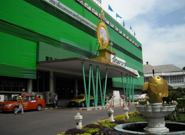 BMA hospitals to provide free hepatitis B, C checks BMA hospitals to provide free hepatitis B, C checks