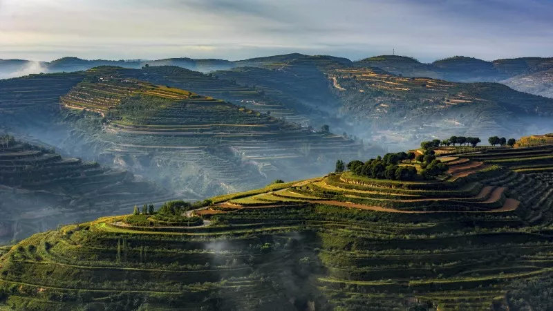 The terraced fields on mountains in NW China The terraced fields on mountains in NW China