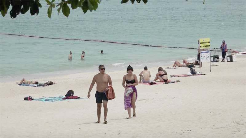 Tourists warned of box jellyfish at Surat Thani’s popular islands Tourists warned of box jellyfish at Surat Thani’s popular islands