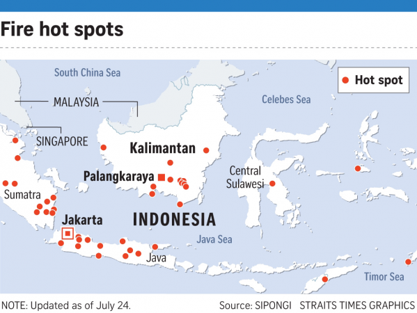 Indonesia beefs up fire-fighting efforts amid dry season in Kalimantan Indonesia beefs up fire-fighting efforts amid dry season in Kalimantan