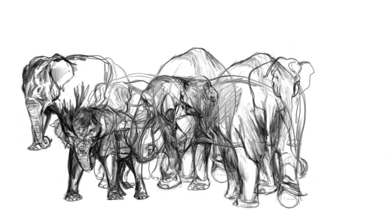 Animation exhibit celebrates ‘beautiful and sentient’ elephants Animation exhibit celebrates ‘beautiful and sentient’ elephants