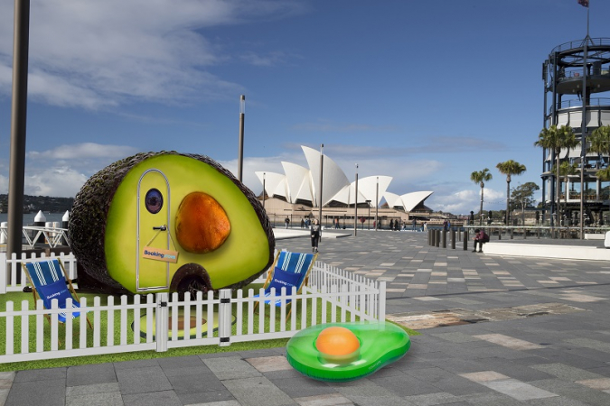 Avocado dreamin’ Avocado dreamin’