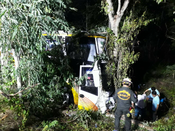 Two injured as bus crashes into tree in Lampang Two injured as bus crashes into tree in Lampang