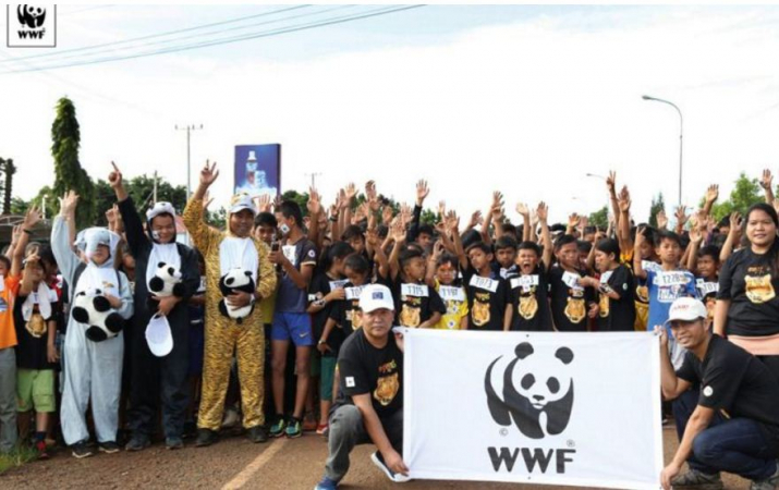 WORLD'S TIGER DAY: Cambodia to import and release six tigers | Asia News Network WORLD'S TIGER DAY: Cambodia to import and release six tigers | Asia News Network
