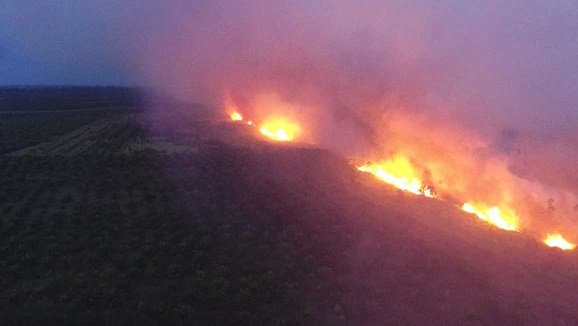 Fires return to Khuan Khreng peat forest in Nakhon Si Thammarat Fires return to Khuan Khreng peat forest in Nakhon Si Thammarat