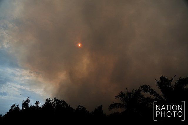3 districts named disaster zones as fire at Khuan Khreng peat forest rages on 3 districts named disaster zones as fire at Khuan Khreng peat forest rages on
