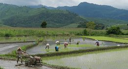 Agriculture experiences slow growth rate Agriculture experiences slow growth rate
