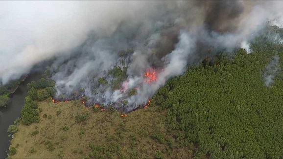 Wildfires threaten forests in Nakhon Si Thammarat Wildfires threaten forests in Nakhon Si Thammarat