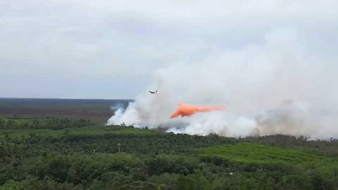 Fire-fighters face breathing difficulties as they battle peat forest fires Fire-fighters face breathing difficulties as they battle peat forest fires
