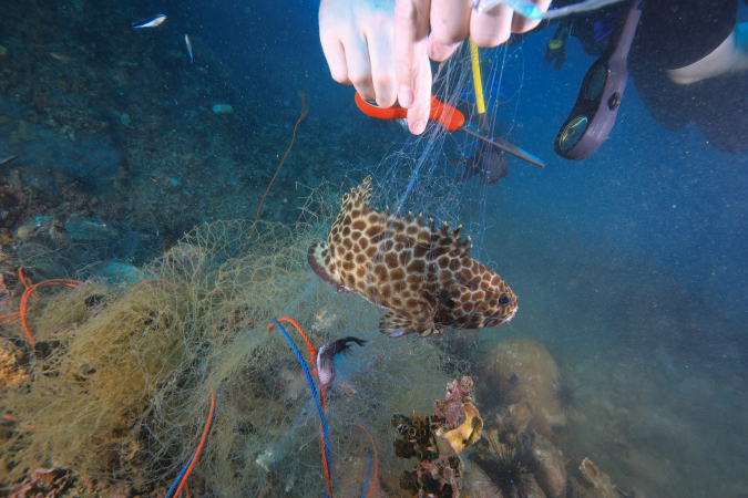 Citi Thailand encourages volunteers to help save the sea Citi Thailand encourages volunteers to help save the sea