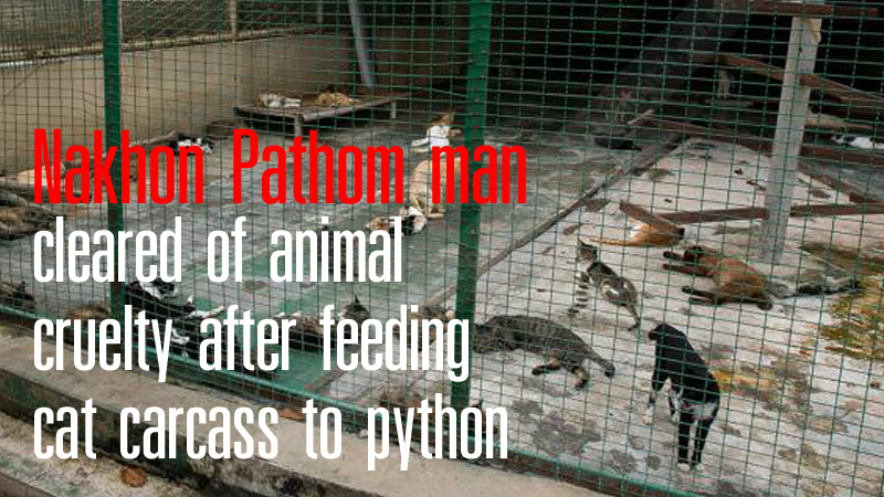 Nakhon Pathom man cleared of animal cruelty after feeding cat carcass to python Nakhon Pathom man cleared of animal cruelty after feeding cat carcass to python