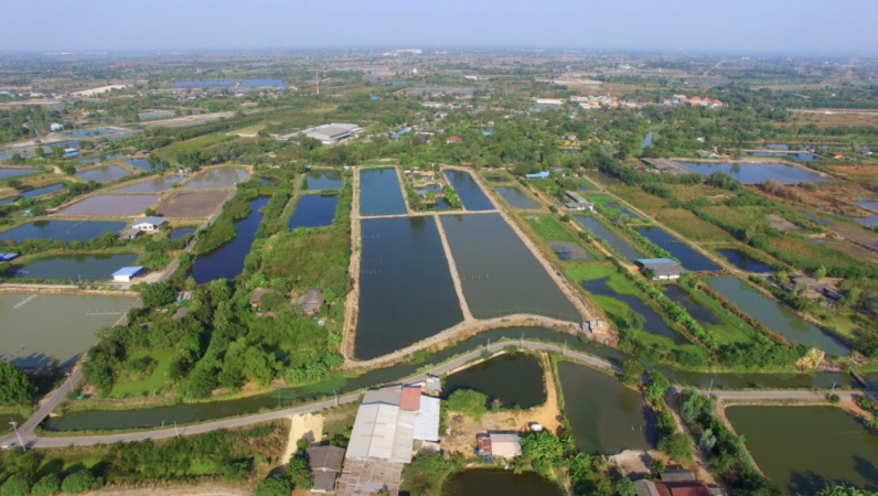 Land prices rise 8.3 per cent nationwide: Treasury Department Land prices rise 8.3 per cent nationwide: Treasury Department